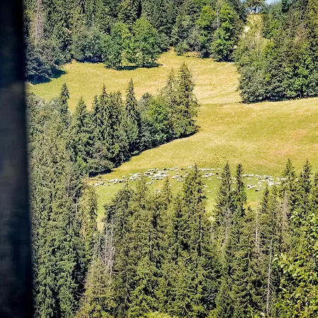 Rysiowka Poronin